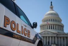 Capitol Police Arrest California Man After Seizing Guillotine From Truck
