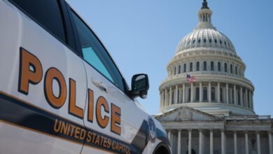 Capitol Police Arrest California Man After Seizing Guillotine From Truck