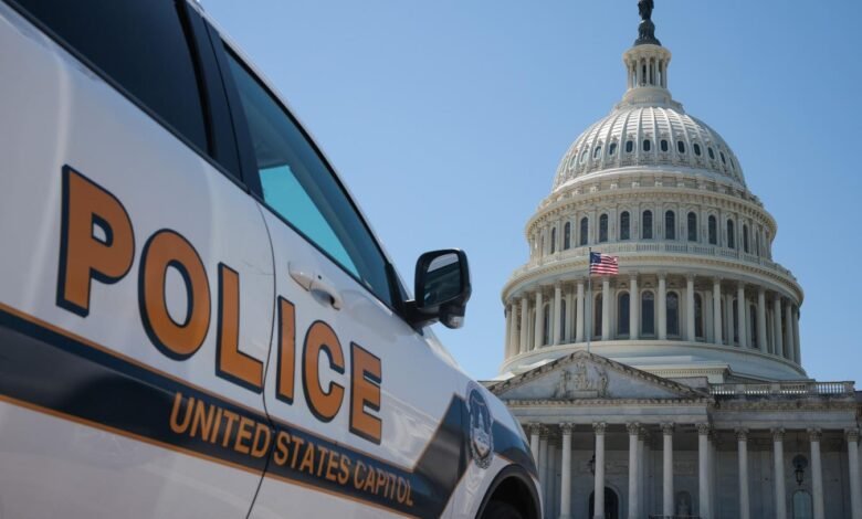 Capitol Police Arrest California Man After Seizing Guillotine From Truck
