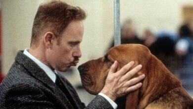 6 Great Dog Movies To Watch To Celebrate National Dog Day 2026