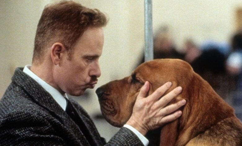6 Great Dog Movies To Watch To Celebrate National Dog Day 2026 6 Great Dog Movies To Watch To Celebrate National Dog Day 2026
