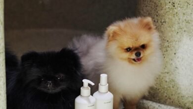 Why Prestige Beauty’s Next Target Customer Might Have Four Legs