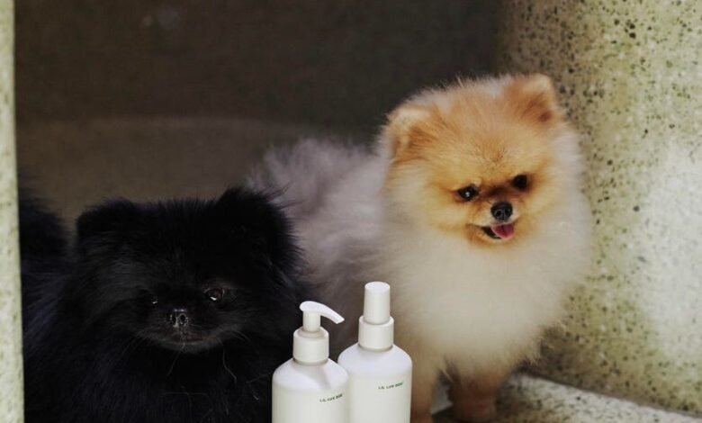 Why Prestige Beauty’s Next Target Customer Might Have Four Legs Why Prestige Beauty’s Next Target Customer Might Have Four Legs