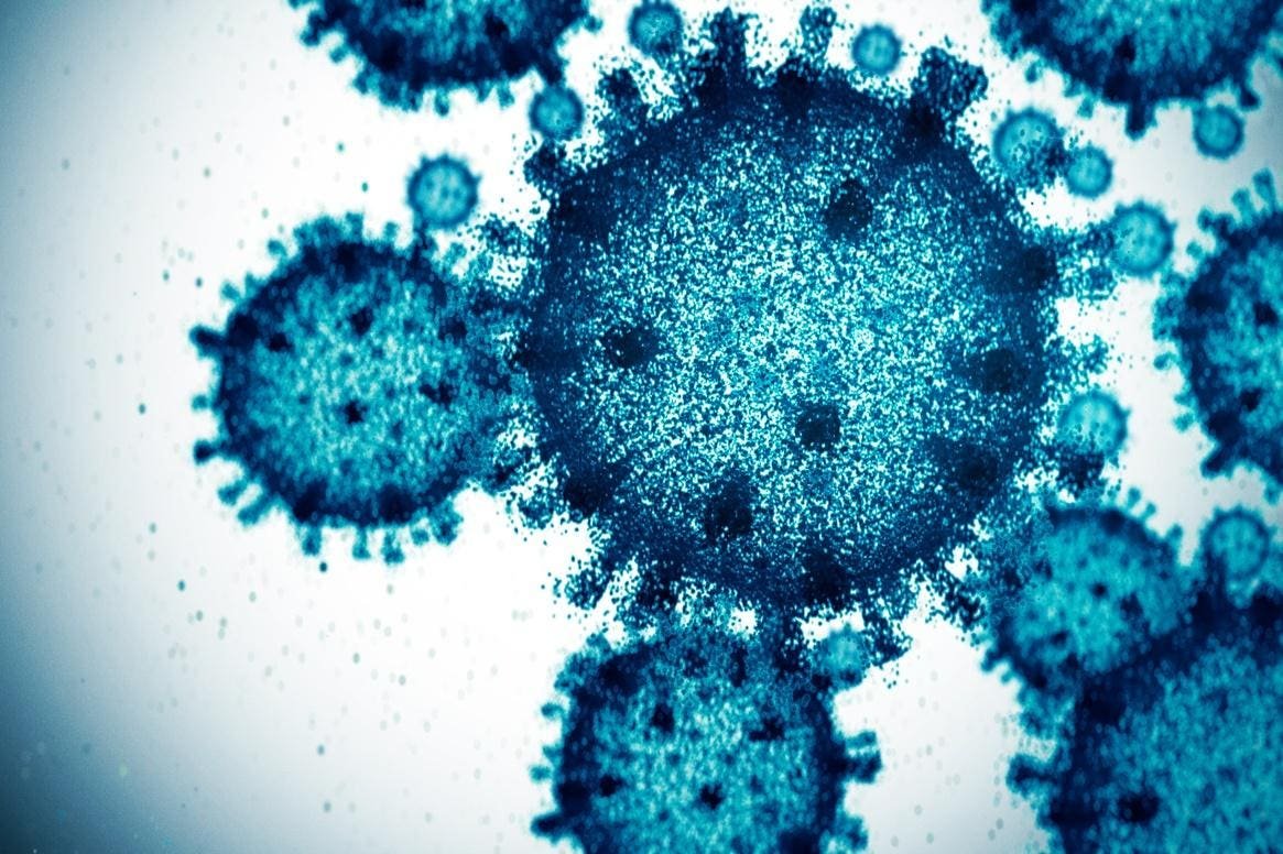 Deep learning models can help scientists build customized phages.