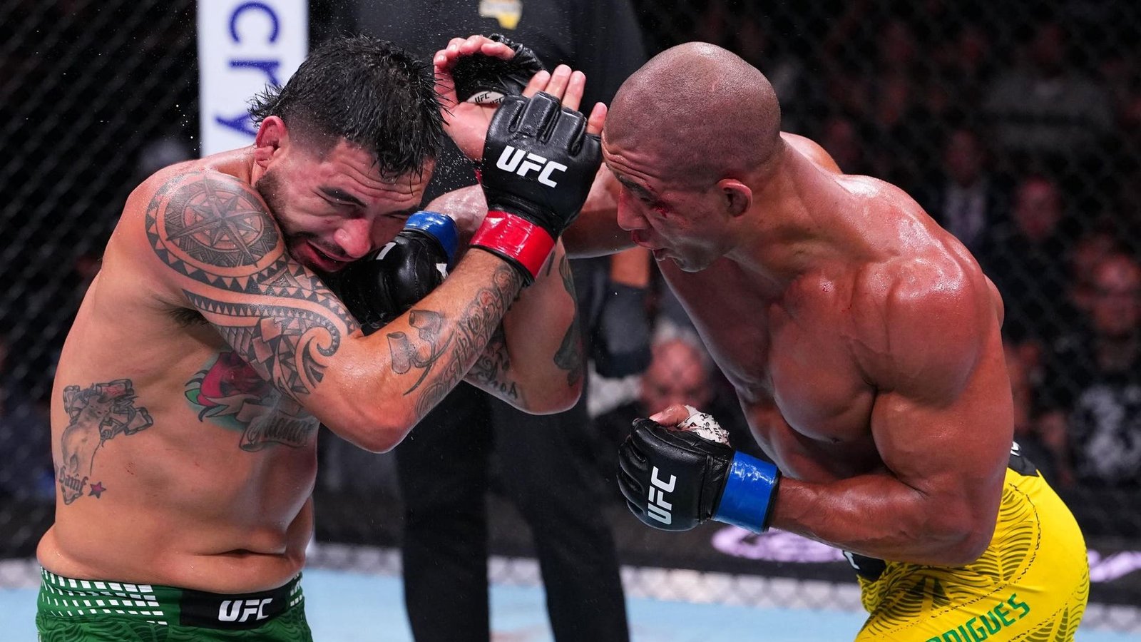 UFC Fight Night: Hernandez v Rodrigues