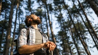 Outstanding ‘Into The Woods’ Explores Forests Anew And Stirs Ways That AI Can Reimagine Nature Journeys