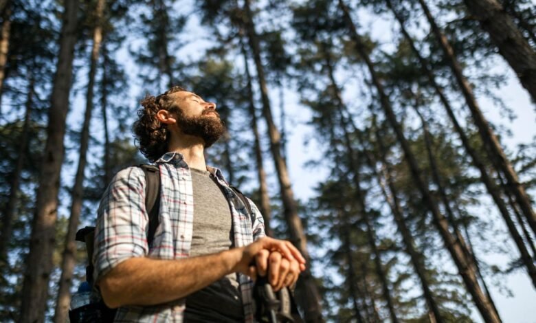 Outstanding ‘Into The Woods’ Explores Forests Anew And Stirs Ways That AI Can Reimagine Nature Journeys Outstanding ‘Into The Woods’ Explores Forests Anew And Stirs Ways That AI Can Reimagine Nature Journeys