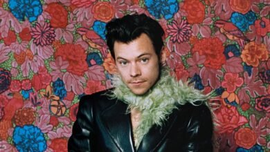 Harry Styles Fans Send His First Solo Hit To A New Peak