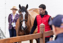 All horses accepted at second trot-up ahead of Sunday’s individual final at the FEI Jumping World Championship 2026