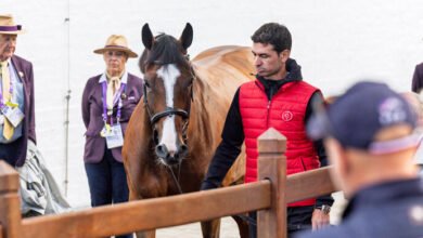 All horses accepted at second trot-up ahead of Sunday’s individual final at the FEI Jumping World Championship 2026