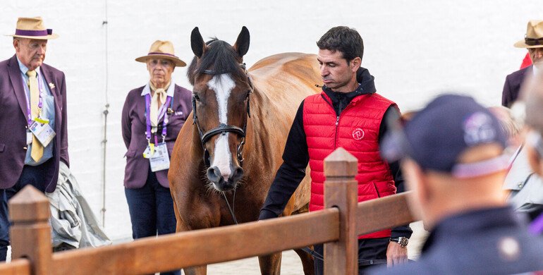 All horses accepted at second trot-up ahead of Sunday’s individual final at the FEI Jumping World Championship 2026 All horses accepted at second trot-up ahead of Sunday’s individual final at the FEI Jumping World Championship 2026
