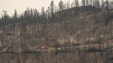 Wildfires expose accessibility failures: advocates