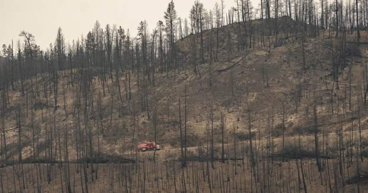 Wildfires expose accessibility failures: advocates Wildfires expose accessibility failures: advocates