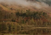 9 Best Places to Travel in Fall, From Upstate Cabins to French Vineyards
