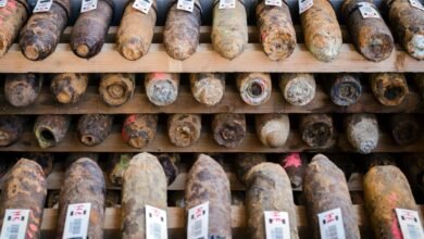 Wildfires across Europe detonate forgotten World War bombs