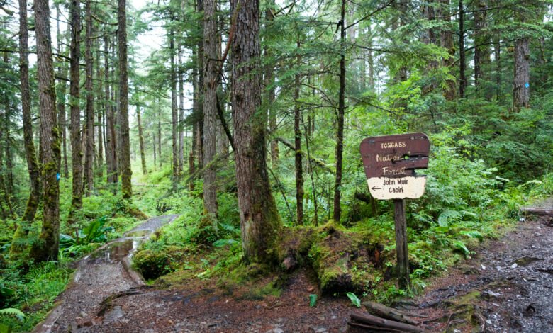 Dismantling the Roadless Rule threatens to disrupt wildlife and water in US Dismantling the Roadless Rule threatens to disrupt wildlife and water in US