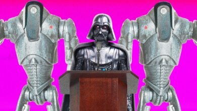 ‘Darth Vader’ Wants You to Know He Definitely Supports Flock Surveillance