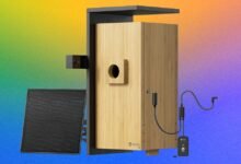 I Watched a Family of Chickadees Grow Up in This Smart Birdhouse