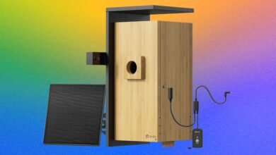 I Watched a Family of Chickadees Grow Up in This Smart Birdhouse