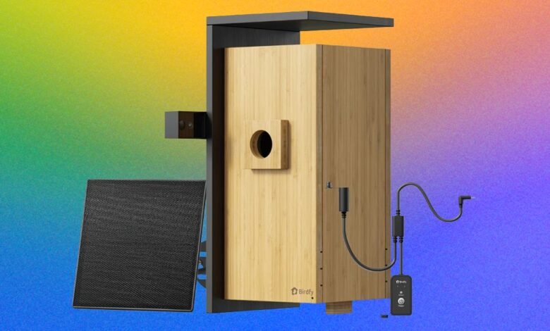 I Watched a Family of Chickadees Grow Up in This Smart Birdhouse I Watched a Family of Chickadees Grow Up in This Smart Birdhouse