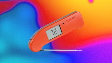 The Best Kitchen Gadget to Prevent Salmonella Is a Good Meat Probe