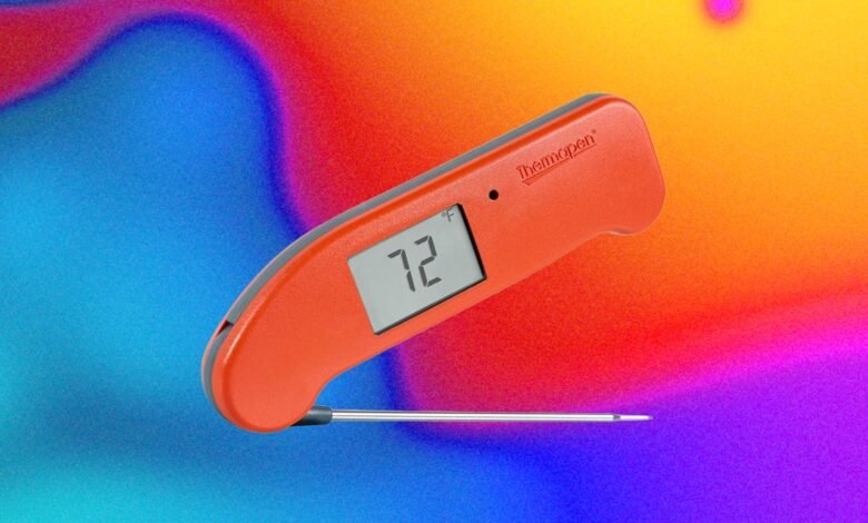 The Best Kitchen Gadget to Prevent Salmonella Is a Good Meat Probe The Best Kitchen Gadget to Prevent Salmonella Is a Good Meat Probe