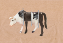Trump’s mystery meat problem