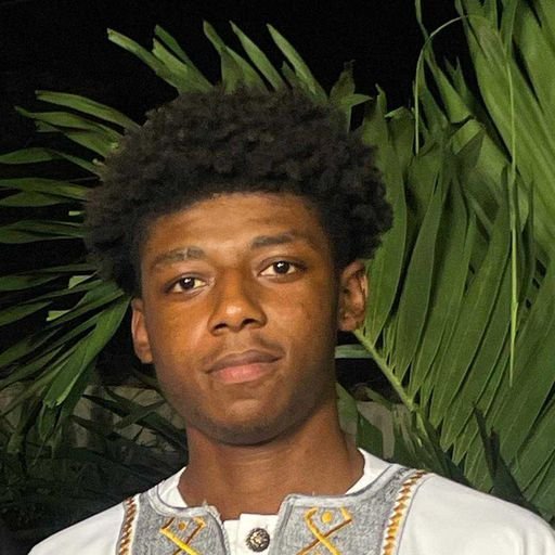 Nii Ayitey Brown