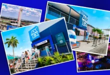 What American Express Understands About Loyalty That Other Brands Miss