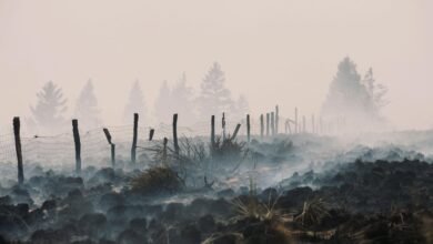 European wildfires expose, detonate buried bombs and mines from past wars