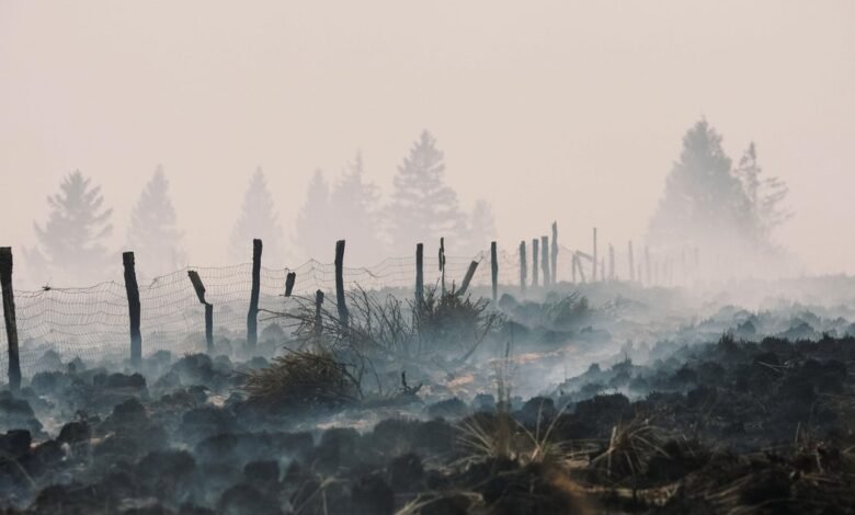 European wildfires expose, detonate buried bombs and mines from past wars European wildfires expose, detonate buried bombs and mines from past wars