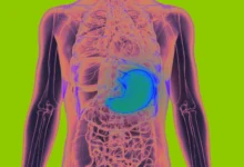 Your Stomach May Help Your Brain Remember Where Food Is, According to a New Study