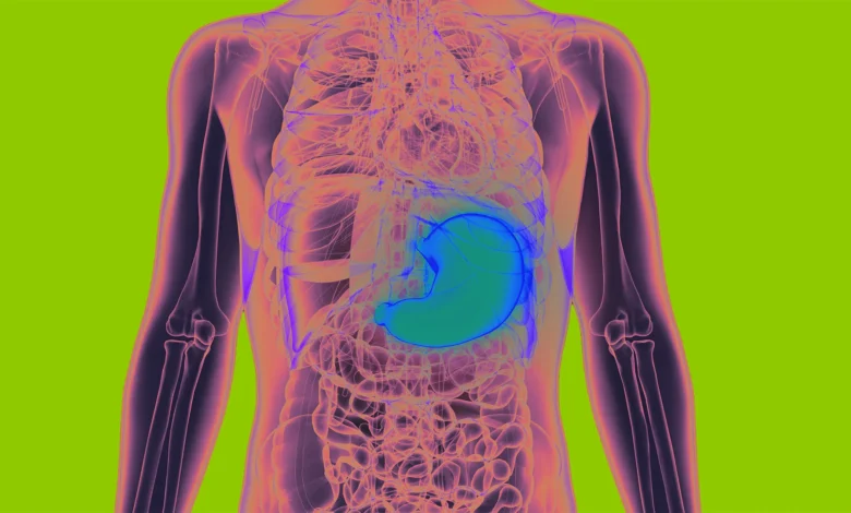 Your Stomach May Help Your Brain Remember Where Food Is, According to a New Study Your Stomach May Help Your Brain Remember Where Food Is, According to a New Study