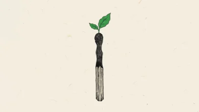 A Brand’s Real Legacy Isn’t Whether It Survives. It’s What Survives Because the Company Existed