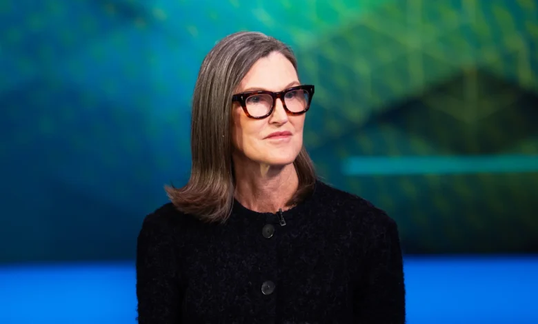 Cathie Wood Says Vanishing Entry-Level Jobs Are a Blessing. New Grads May Disagree Cathie Wood Says Vanishing Entry-Level Jobs Are a Blessing. New Grads May Disagree