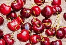 Our 22 Most Succulent Sweet and Sour Cherry Recipes