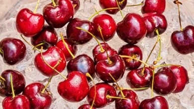 Our 22 Most Succulent Sweet and Sour Cherry Recipes