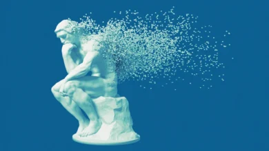 Why Experts Still Matter Why Experts Still Matter