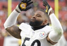 Steelers defensive snap counts, preseason Week 2: Elandon Roberts makes strong return