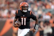 Josh Johnson makes his case to stick with Cincinnati