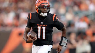 Josh Johnson makes his case to stick with Cincinnati