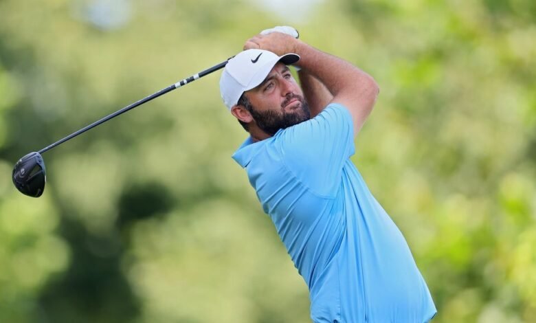 Battled hand, foot and mouth disease during BMW Battled hand, foot and mouth disease during BMW
