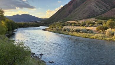 Drastic water cuts issued for California, Nevada and Arizona from drought