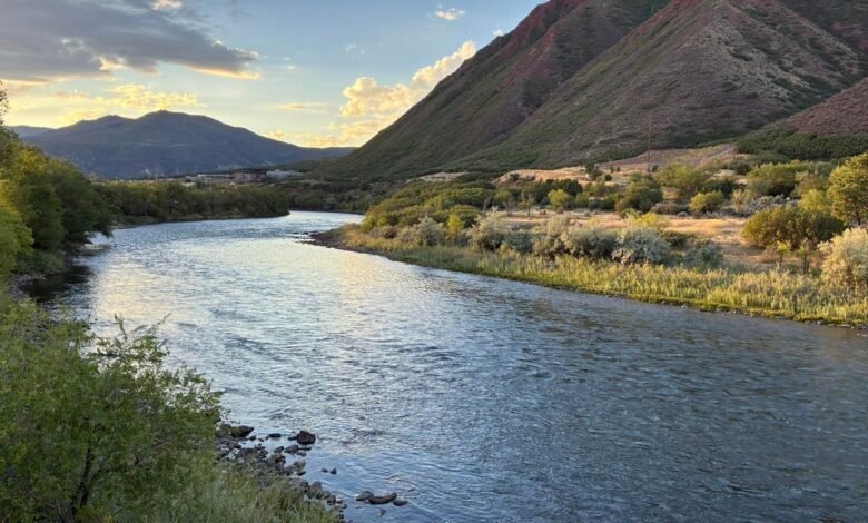 Drastic water cuts issued for California, Nevada and Arizona from drought Drastic water cuts issued for California, Nevada and Arizona from drought