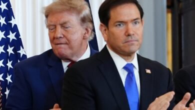 US set for largest mass visa revocation in history targeting up to 200,000 foreigners, officials say