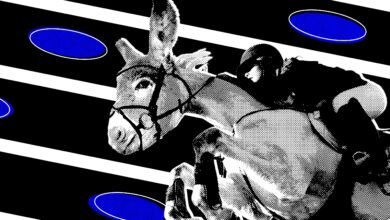 Democrats Just Might Win the Senate