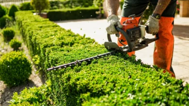 5 Boring Small Business Ideas with Customers Who Pay Month After Month