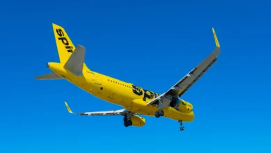 Google Wants Spirit Airlines’ Data. A Startup Just Outbid Its  Million Offer