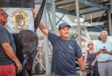 Massachusetts fishermen land 1,260-pound blue marlin, just short of world record