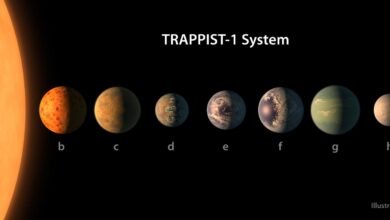 Roman Space Telescope And NASA’s Ultimate Search For Off-World Life